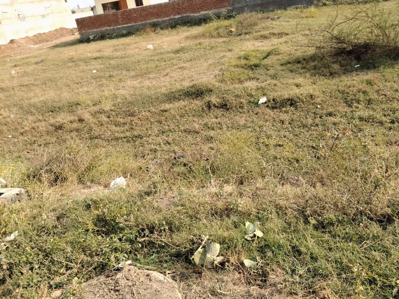 Plot For Sale in It City 