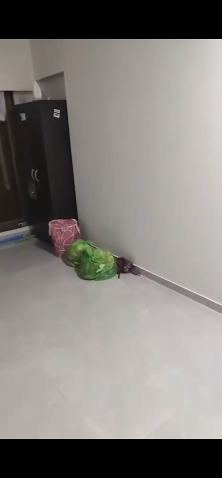 Room, roha-vatika 1 Bedroom 439 Sq.Ft. Apartment In Kurla East Mumbai 9489959