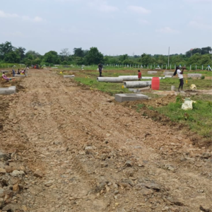 Plot Area in  Plot at Mihan – for Sale