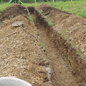 Plot Area in  Plot at Mihan – for Sale