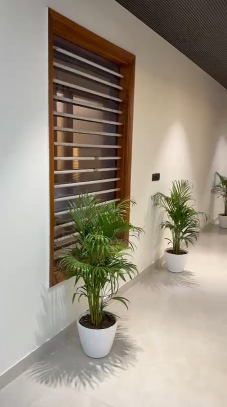 undefined, parklands 3.5 Bedroom 500 Sq.Yd. Builder Floor In Sector 85 Faridabad 9490650