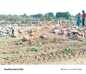 Plot Area in  Land at Sohna – for Sale