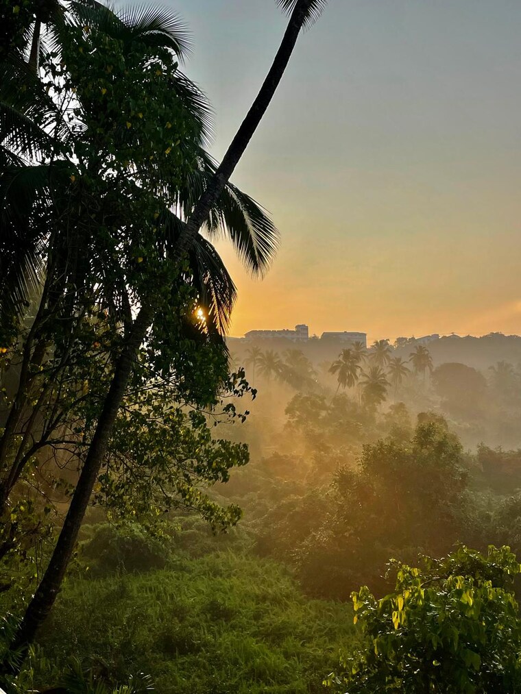 undefined, assagao 3 Bedroom 250 Sq.Mt. Villa In Assagao Goa 9490744