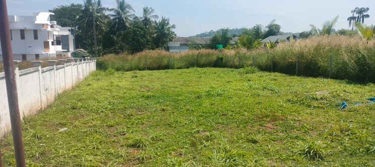 undefined, mannuthy  4357 Sq.Ft. Plot In Mannuthy Thrissur 9490821
