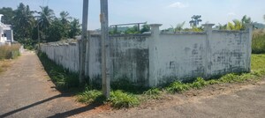 Plot Area in  Plot at Mannuthy – for Sale