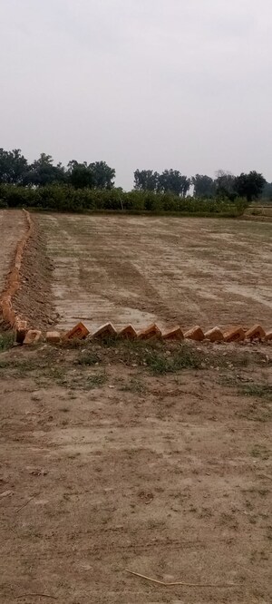 Plot Area in  Plot at Nh 19 – for Sale