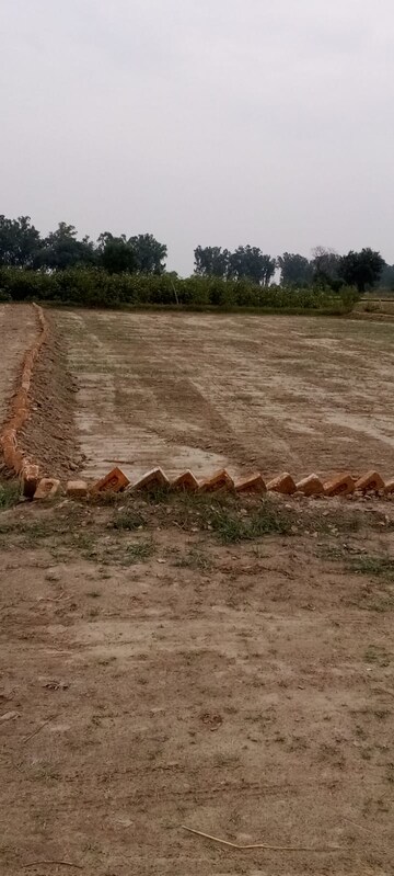 Plot Area in  Plot at Nh 19 – for Sale