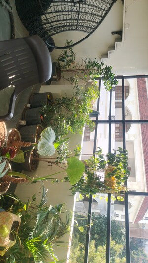 Staircase in 4 BHK Apartment at Banjara Hills – for Rent