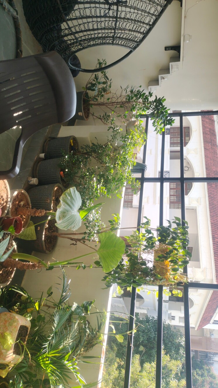 undefined, banjara hills 4 Bedroom 1900 Sq.Ft. Apartment In Banjara Hills Hyderabad 9490937