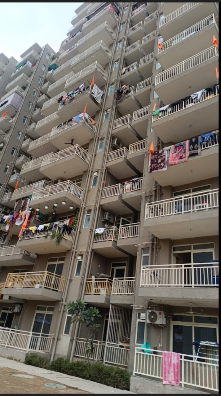 2 BHK Apartment For Rent in Conscient Habitat 78