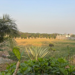 Plot Area in  Plot at Sector 27 Yamuna Expressway – for Sale