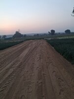 100 Sq.Yd. Plot in Signature Global Daxin Vistas