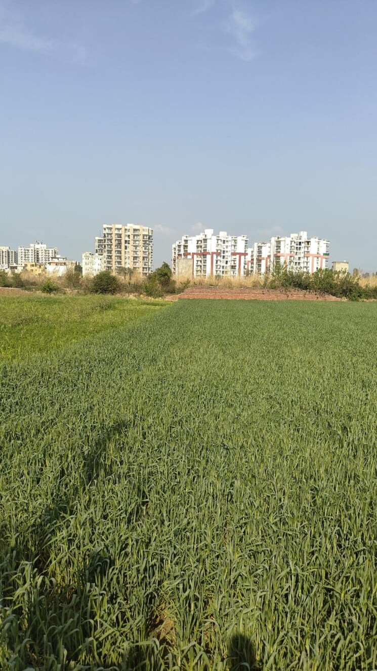 Exterior View, touch-homes  1800 Sq.Yd. Plot In Mohali Sector 123 Chandigarh 9492588