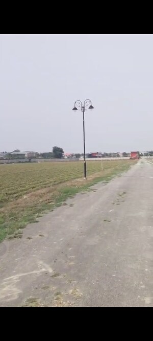 Plot Area in  Plot at Sector 135 – for Sale