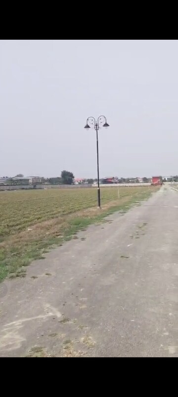 Plot Area in  Plot at Sector 135 – for Sale