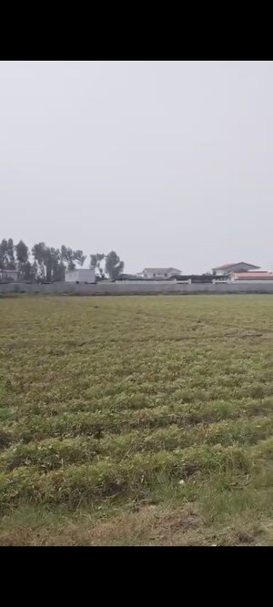 Plot Area in  Plot at Sector 135 – for Sale