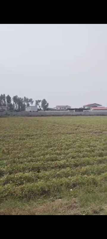 Plot Area in  Plot at Sector 135 – for Sale