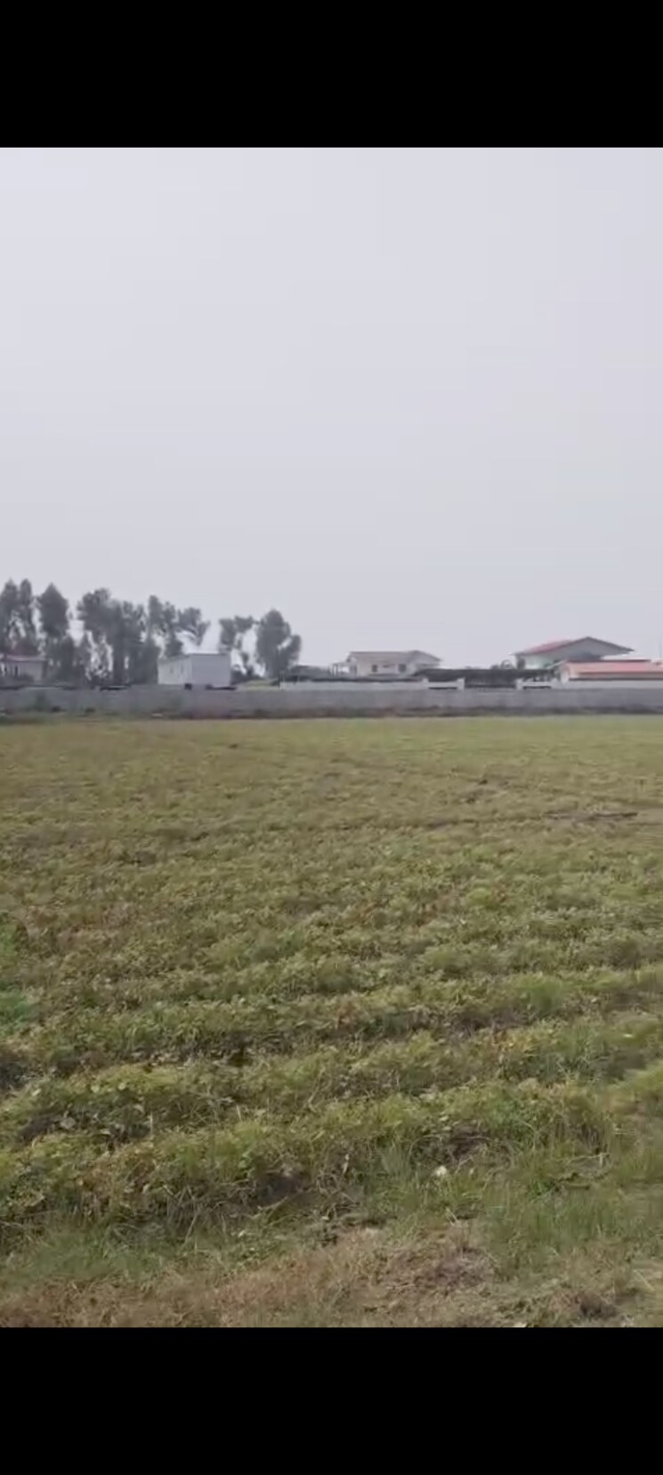 undefined, sector 135  1008 Sq.Yd. Plot In Sector 135 Noida 9492831