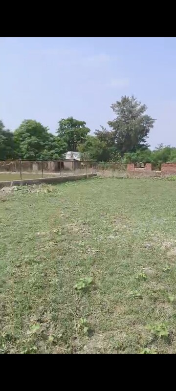  Plot For Sale in Sector 135