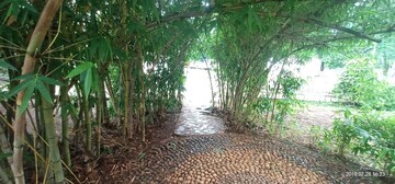 Plot Area in 3 BHK Apartment at Ziggurat Apartment, Vadgaon Budruk – for Rent