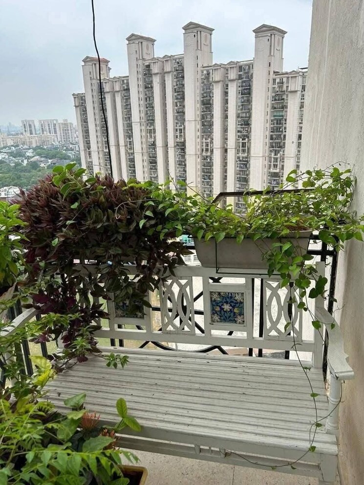 Exterior View, dlf-regency-park-ii 3 Bedroom 1777 Sq.Ft. Apartment In Sector 27 Gurgaon 9493113