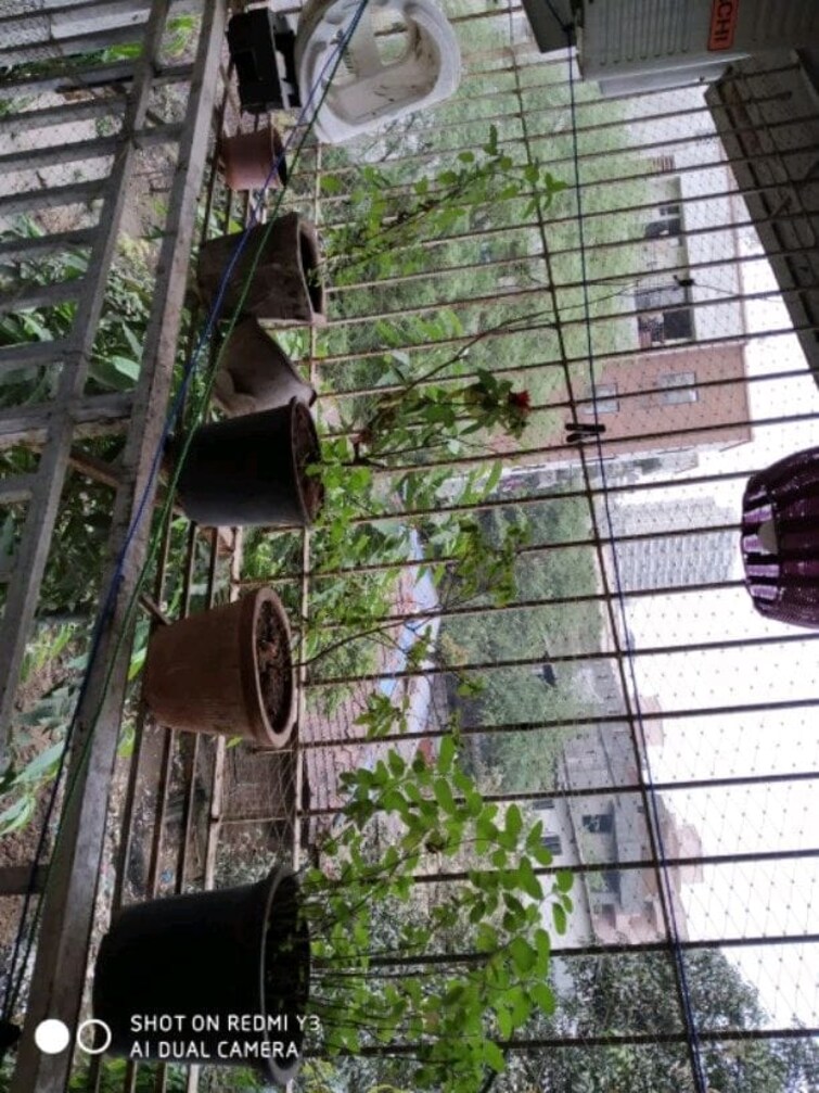 Balcony, kharghar sector 30 1 Bedroom 700 Sq.Ft. Apartment In Kharghar Sector 30 Navi Mumbai 9493185