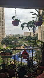 2.5 BHK + Pooja Room 1250 Sq.Ft. Apartment in Bhartiya Nikoo Homes