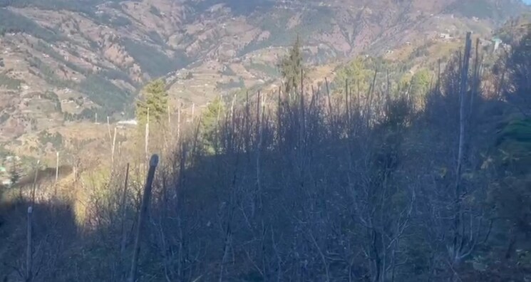 undefined, thoeg  4000 Sq.Ft. Plot In Thoeg Shimla 9493301