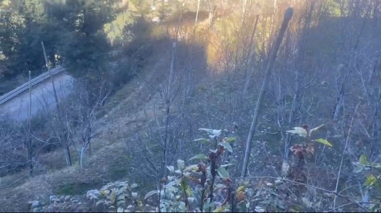 Garden, thoeg  4000 Sq.Ft. Plot In Thoeg Shimla 9493301