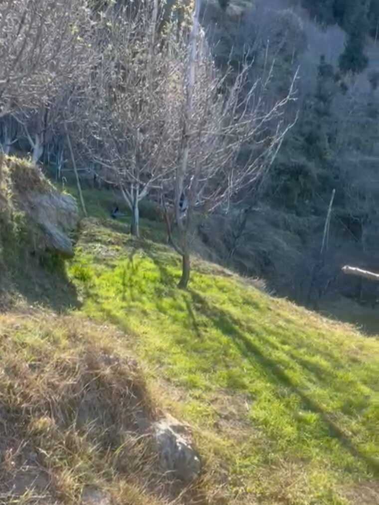 undefined, thoeg  4000 Sq.Ft. Plot In Thoeg Shimla 9493301