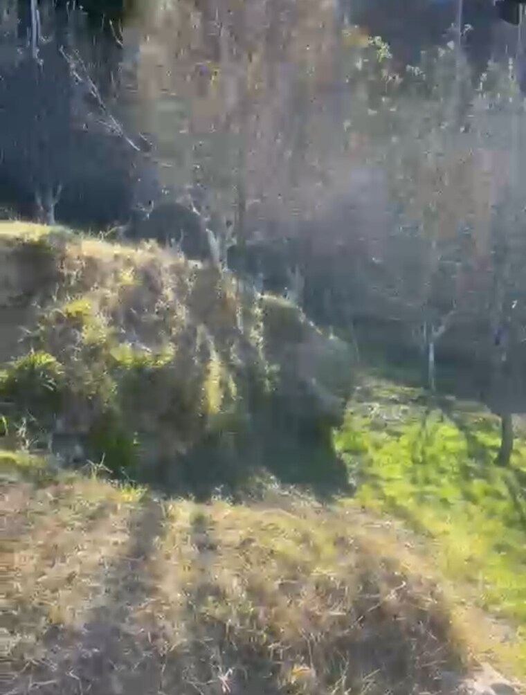 Garden, thoeg  4000 Sq.Ft. Plot In Thoeg Shimla 9493301