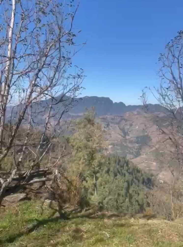 undefined, thoeg  4000 Sq.Ft. Plot In Thoeg Shimla 9493301