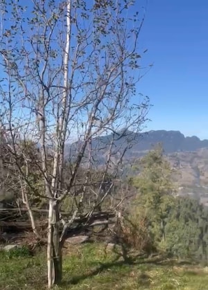 Plot Area in  Plot at Thoeg – for Sale