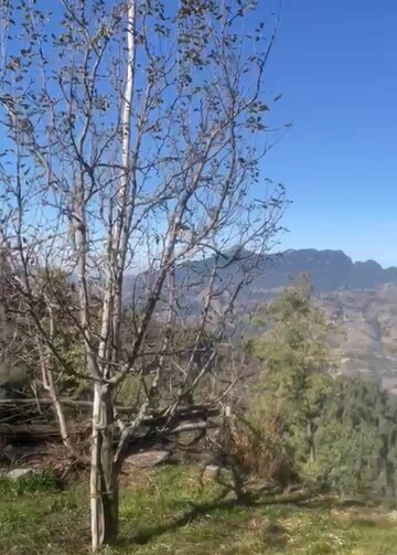 Plot Area in  Plot at Thoeg – for Sale