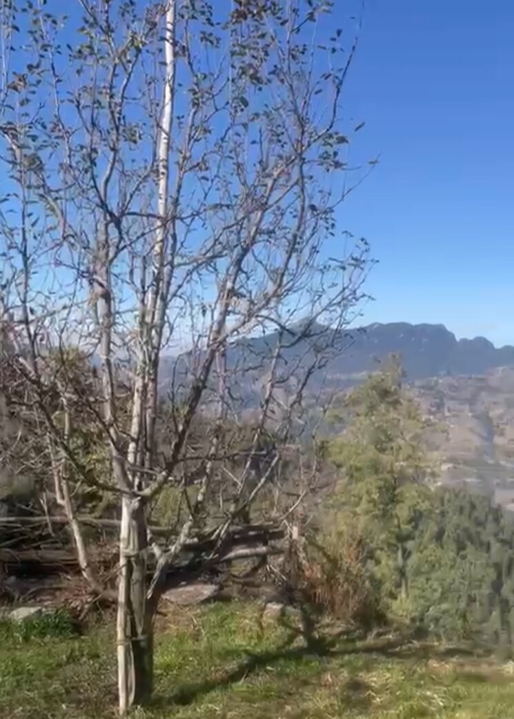 undefined, thoeg  4000 Sq.Ft. Plot In Thoeg Shimla 9493301