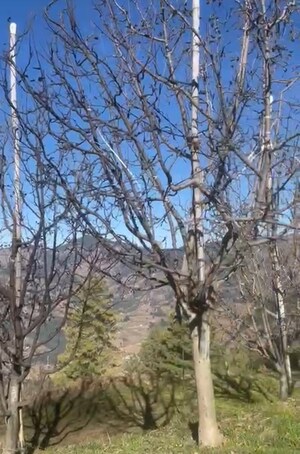  Plot – Garden View at Thoeg - for Sale