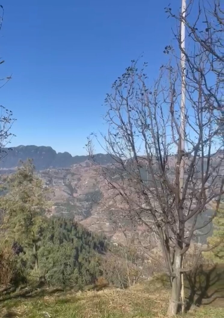 undefined, thoeg  4000 Sq.Ft. Plot In Thoeg Shimla 9493301