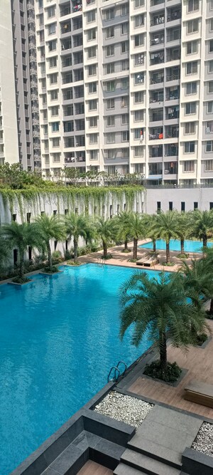 1 BHK Apartment For Sale in Hinjewadi