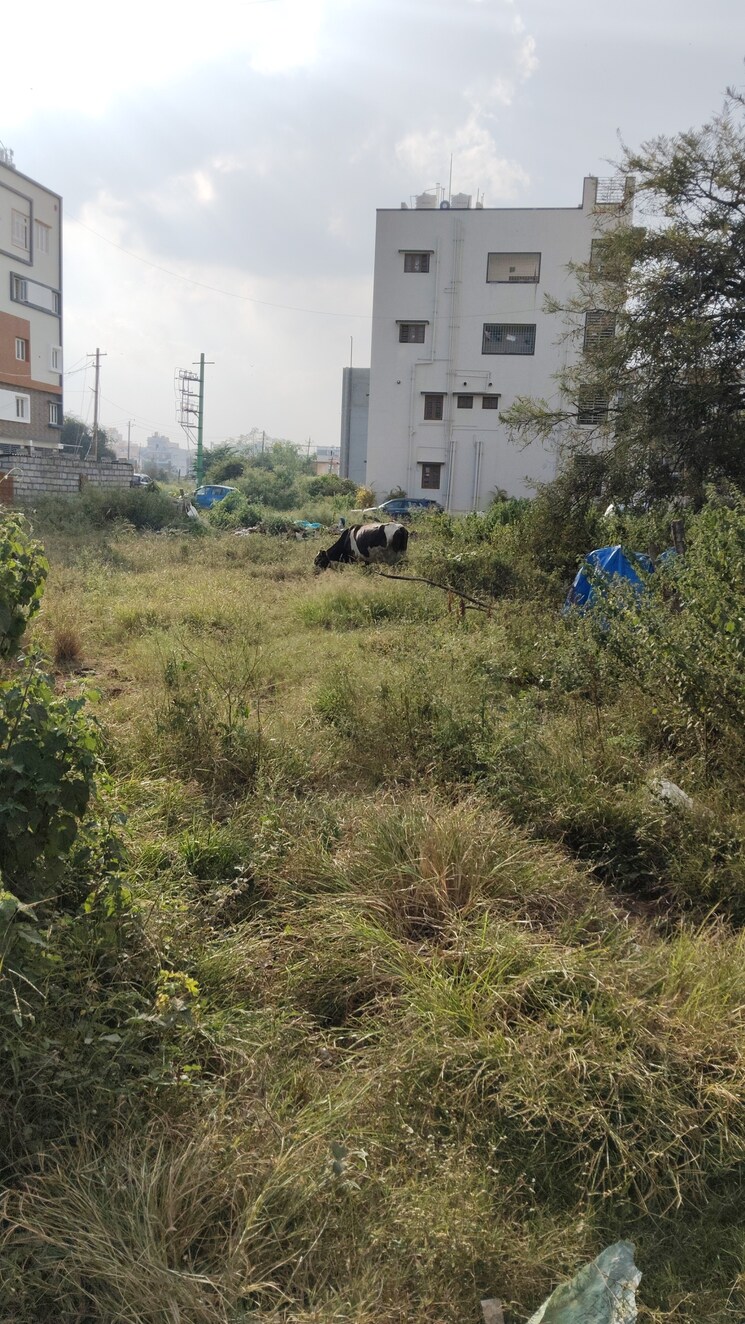 undefined, chandapura  1200 Sq.Ft. Plot In Chandapura Bangalore 9493346