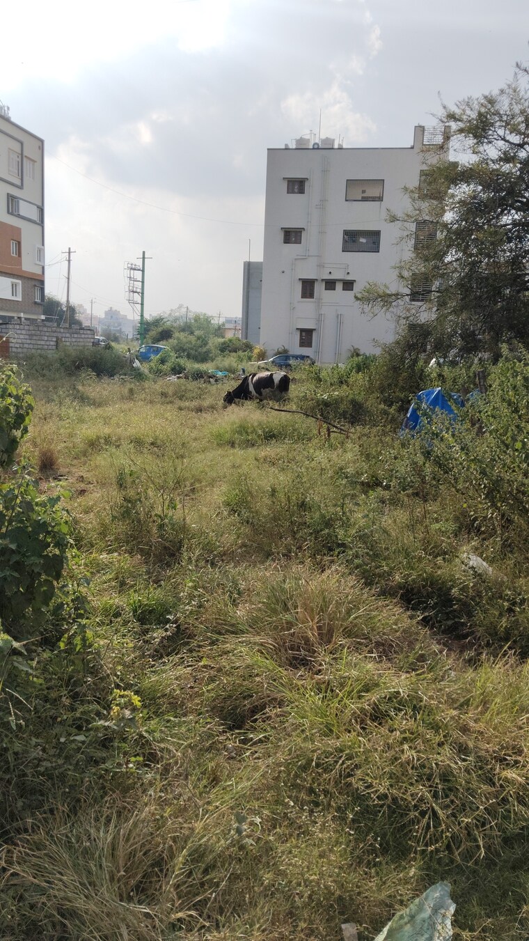 undefined, chandapura  1200 Sq.Ft. Plot In Chandapura Bangalore 9493346