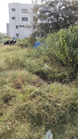 Plot Area in  Plot at Chandapura – for Sale