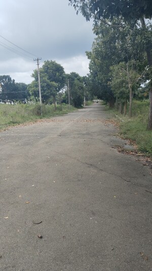 Plot Area in  Plot at Chandapura – for Sale