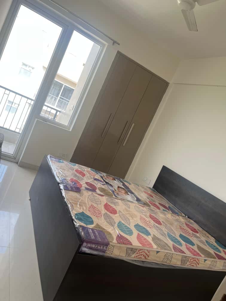 2 BHK Apartment For Rent in NK Sharma Savitry Greens 2