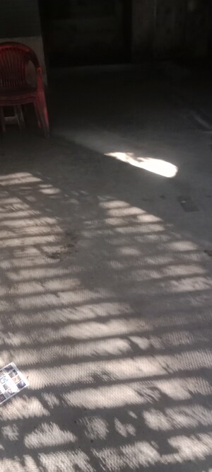 Floor Plan in  Shop at Anand Park Aundh, Aundh – for Rent