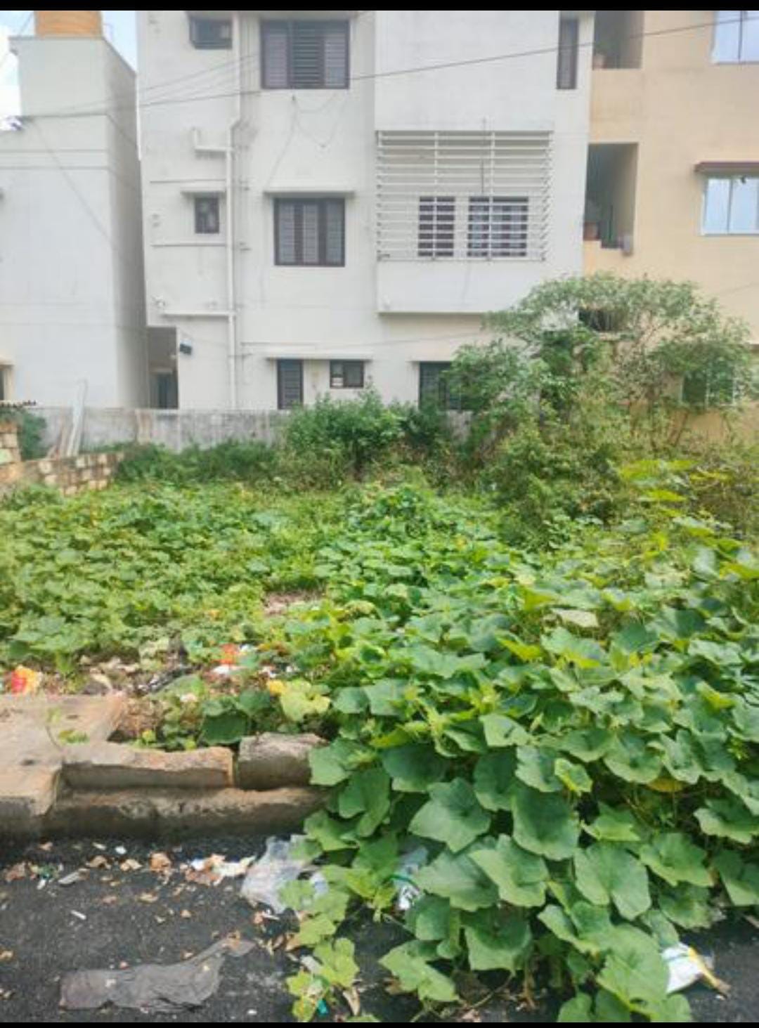 Plot For Sale in Frazer Apartments