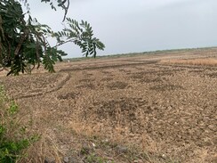 Plot For Sale in Residential Plot 