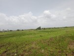 4356 Sq.Ft. Land in Commercial Plot 