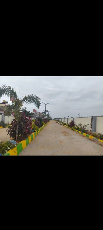  Plot For Sale in Chintamani