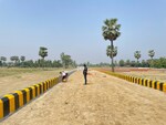 2800 Sq.Ft. Plot in North Mullanpur