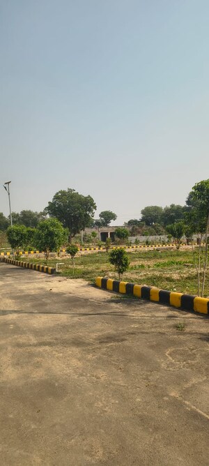  Plot For Sale in Sujanpur
